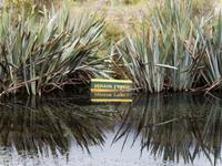 Mirror Lake, Milford Road
