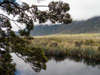 Mirror Lake, Milford Road