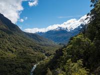 Hollyford Valley, Milford Road