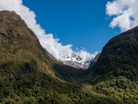 Hollyford Valley, Milford Road