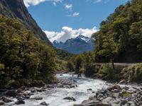 Hollyford Valley, Milford Road