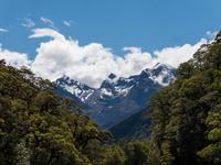 Hollyford Valley, Milford Road