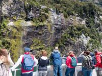 Milford Sound Kreuzfahrt