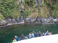 Milford Sound Kreuzfahrt