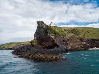 Taiaroa Head, Otago Halbinsel