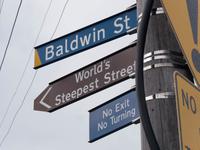 Baldwin Street, Dunedin