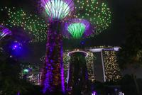 Singapur, Garden Rapsody