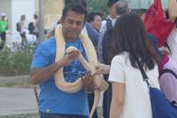 Singapur Stadtrundfahrt