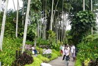 Singapur, Botanischer Garten