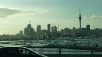 Auckland von der Harbour Bridge