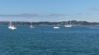 Bay of Islands