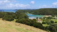 Bay of Islands, Insel Urupukapuka 