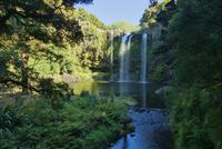 Whangarai Wasserfälle
