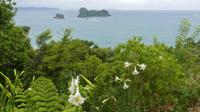 Wanderung Cathedral Cove