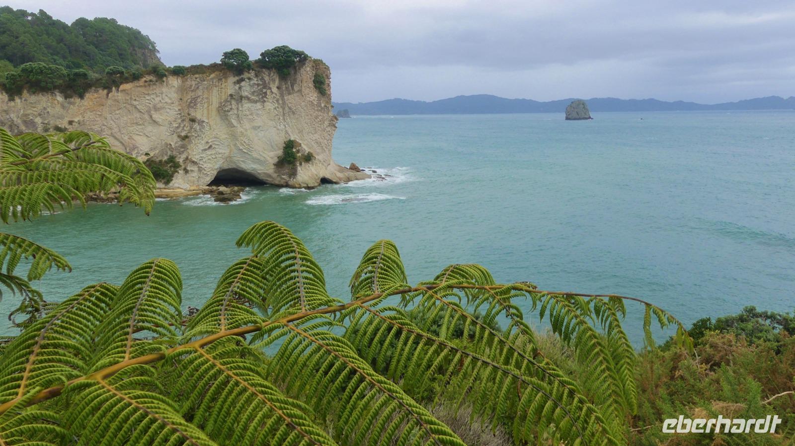 Wanderung Cathedral Cove