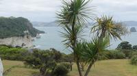 Wanderung Cathedral Cove