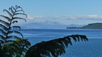 Lake Taupo mit Mount Ngauruhoe 
