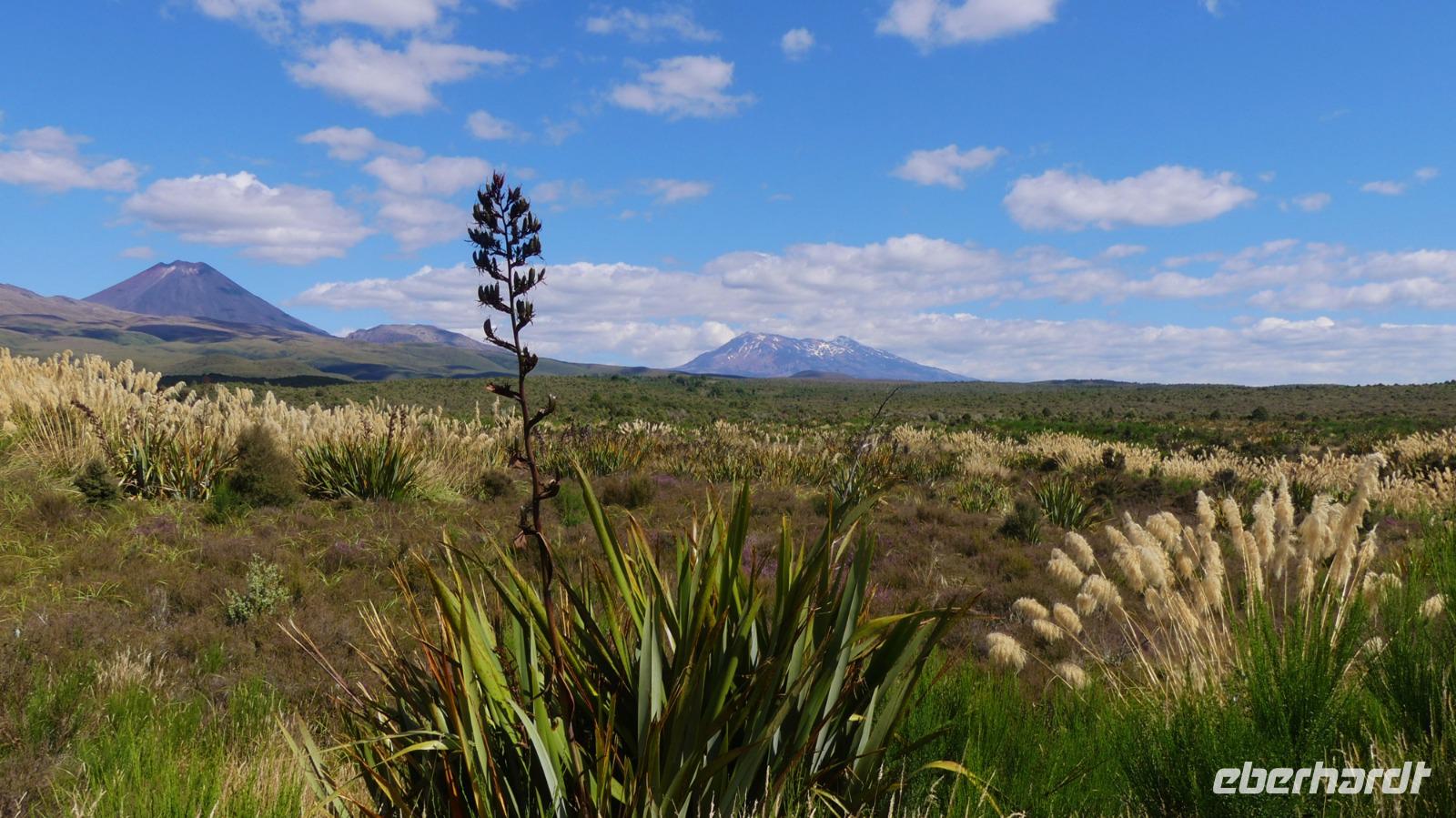 Tongariro Nationalpark