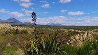 Tongariro Nationalpark
