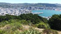 Wellington vom Victoria Peak