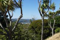Wellington Botanischer Garten