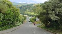 Dunedin, steilste Straße