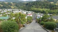 Dunedin, steilste Straße