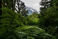 Te Anau - Milford, Wanderweg 