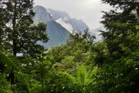 Te Anau - Milford, Wanderweg 