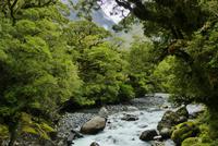 Te Anau - Milford, Wanderweg 