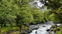 Te Anau - Milford, Wanderweg 