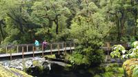 Te Anau - Milford, Wanderweg 
