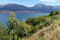 Lake Wanaka