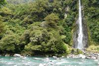 Thunder Creek Wasserfall am Haast River