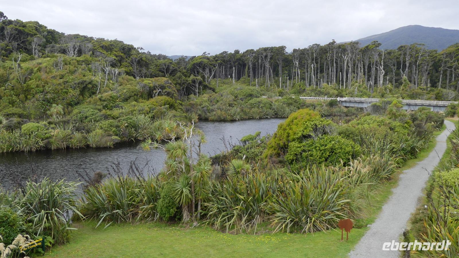 Ship Creek Wanderweg bei Haast