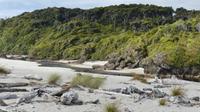 Ship Creek Wanderweg bei Haast