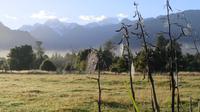 Morgenstimmung am Cafe´ Lake Matheson