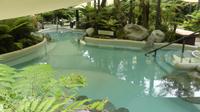 Franz Josef, Hot Water Pools