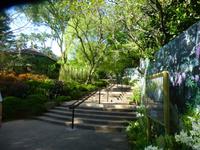 Sightseeing Singapur - Orchideen Garten