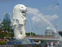 Sightseeing Singapur - Merlion