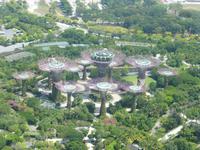 Sightseeing Singapur - Gardens by the Bay