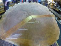 Kauri Museum Matakohe