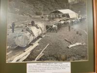 Kauri Museum Matakohe