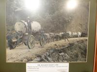 Kauri Museum Matakohe