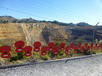 Goldgräberstadt Waihi