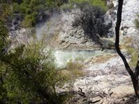 Rotorua - Wai-O-Tapu