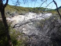 Rotorua - Wai-O-Tapu