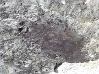 Rotorua - Wai-O-Tapu