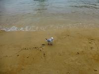 Abel Tasman Nationalpark