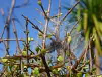 Auf dem Weg nach Wanaka - Ship Creek Bay